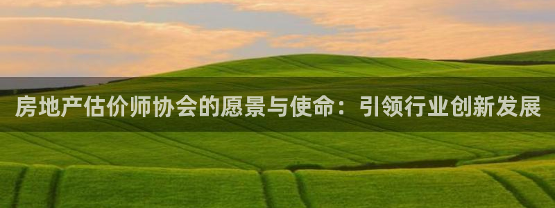 风暴娱乐1：房地产估价师协会的愿景与使命：引领行业创新发展