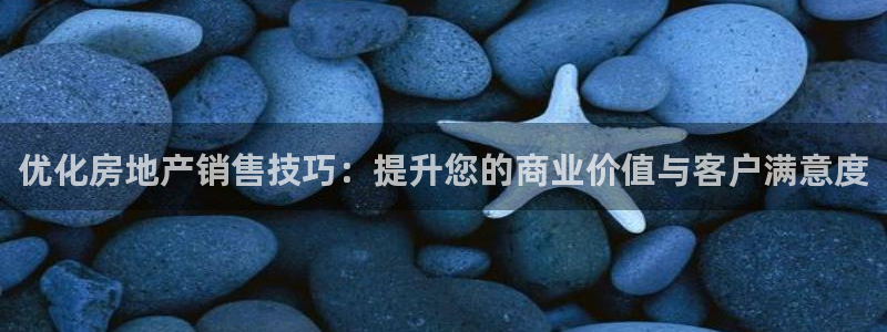 风暴娱乐客服：优化房地产销售技巧：提升您的商业价值与客户满意