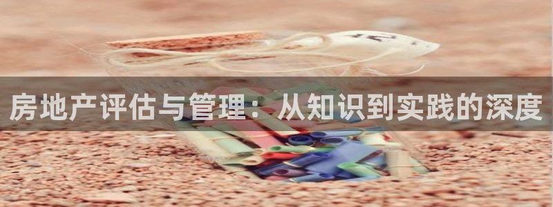 风暴娱乐注册网址：房地产评估与管理：从知识到实践的深度