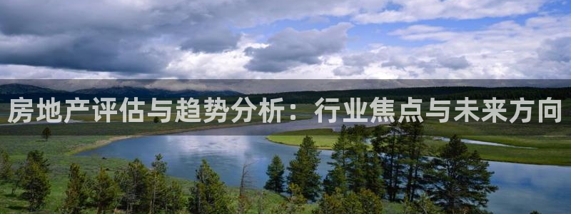 风暴娱乐求333OOa：房地产评估与趋势分析：行业焦点与未来