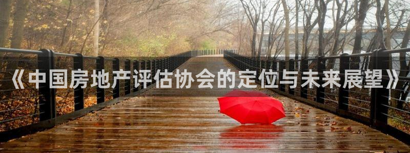 风暴眼娱乐：《中国房地产评估协会的定位与未来展望》