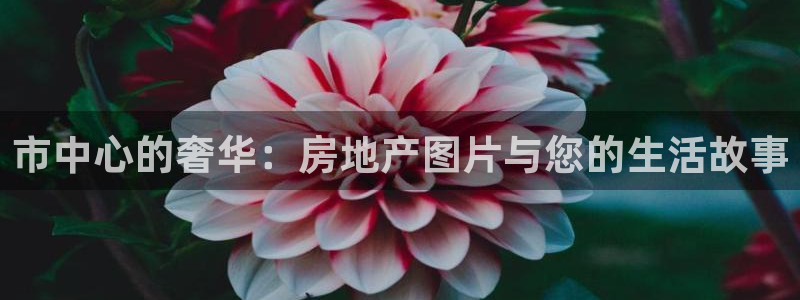 风暴娱乐银川：市中心的奢华：房地产图片与您的生活故事