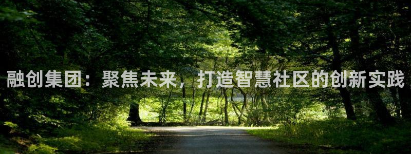 风暴娱乐自动挂：融创集团：聚焦未来，打造智慧社区的创新实践