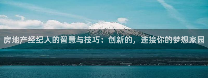 风暴数字娱乐：房地产经纪人的智慧与技巧：创新的，连接你的梦想