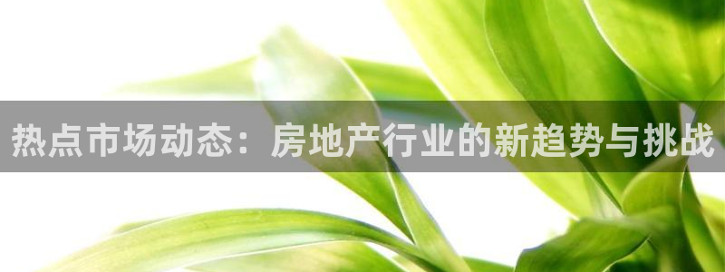 风暴娱乐地5指尖：热点市场动态：房地产行业的新趋势与挑战