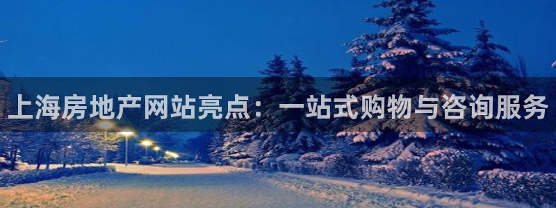 风暴娱乐实况：上海房地产网站亮点：一站式购物与咨询服务