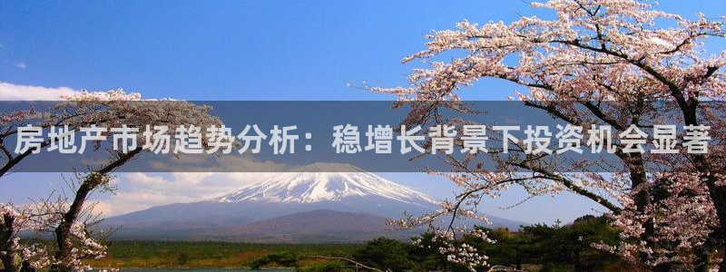 菲律宾风暴娱乐集团：房地产市场趋势分析：稳增长背景下投资机会
