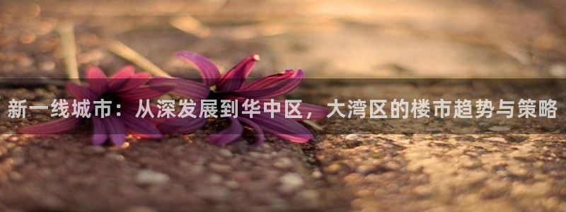 风暴娱乐这个平台靠谱：新一线城市：从深发展到华中区，大湾区的