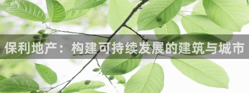 风暴娱乐派对：保利地产：构建可持续发展的建筑与城市