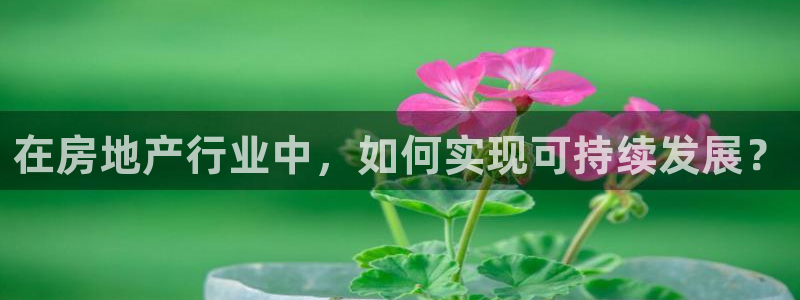 光风暴娱乐：在房地产行业中，如何实现可持续发展？