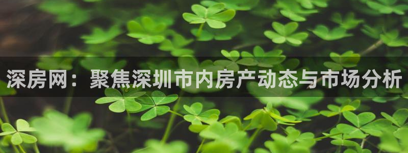 风暴娱乐套路：深房网：聚焦深圳市内房产动态与市场分析