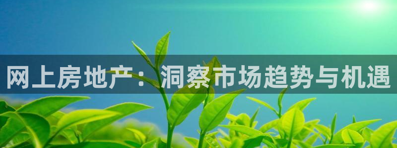 风暴娱乐待遇：网上房地产：洞察市场趋势与机遇