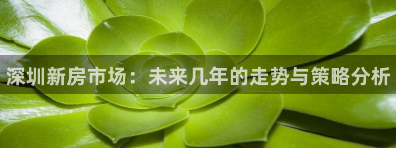 风暴娱乐派对：深圳新房市场：未来几年的走势与策略分析