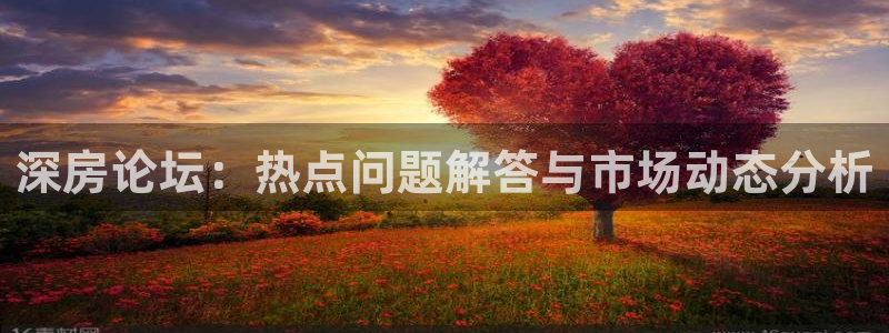 风暴娱乐求333OOa：深房论坛：热点问题解答与市场动态分析