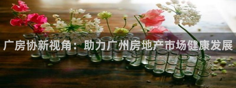 风暴娱乐厅：广房协新视角：助力广州房地产市场健康发展