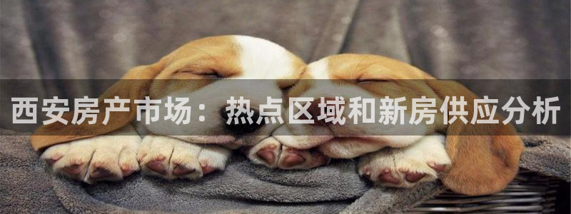 风暴娱乐老板：西安房产市场：热点区域和新房供应分析
