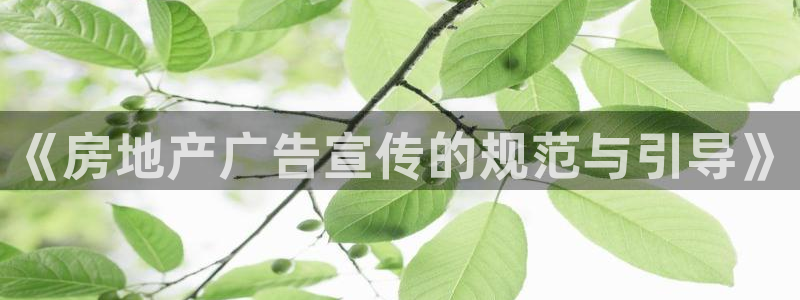 风暴娱乐实况：《房地产广告宣传的规范与引导》