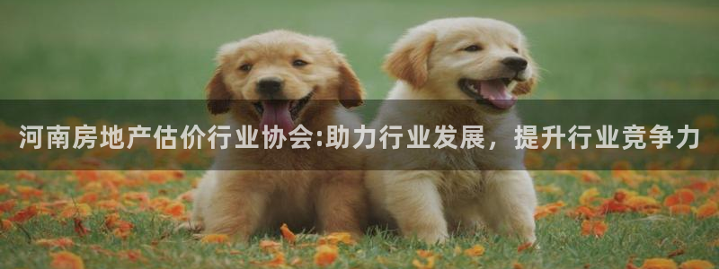 风暴娱乐主管是谁：河南房地产估价行业协会:助力行业发展，提升