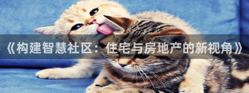 风暴娱乐记：《构建智慧社区：住宅与房地产的新视角》