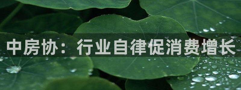 风暴娱乐 平台首页：中房协：行业自律促消费增长