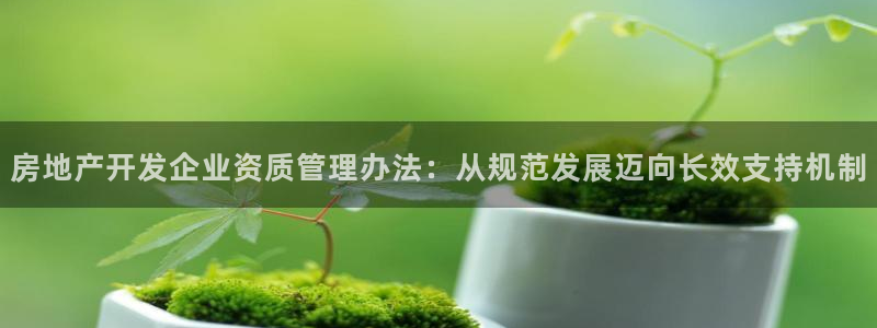 风暴眼娱乐：房地产开发企业资质管理办法：从规范发展迈向长效支