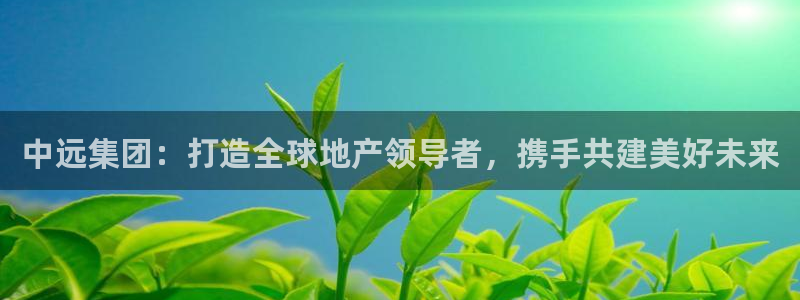 风暴娱乐套路：中远集团：打造全球地产领导者，携手共建美好未来