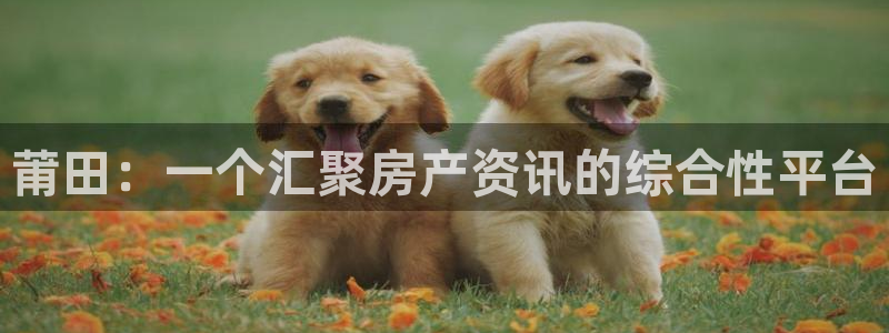 风暴娱乐求333OOf：莆田：一个汇聚房产资讯的综合性平台