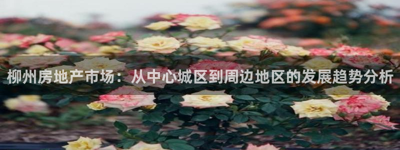 风暴娱乐 风暴注册平台：柳州房地产市场：从中心城区到周边地区