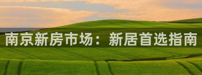 风暴娱乐首页：南京新房市场：新居首选指南