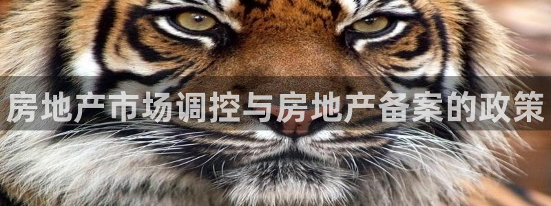 风暴娱乐地5指尖：房地产市场调控与房地产备案的政策