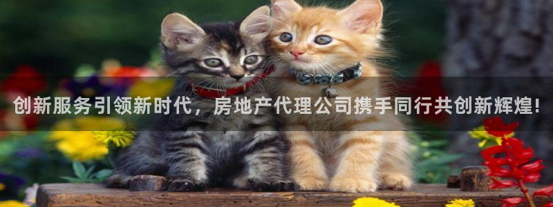 风暴娱乐上5指尖：创新服务引领新时代，房地产代理公司携手同行