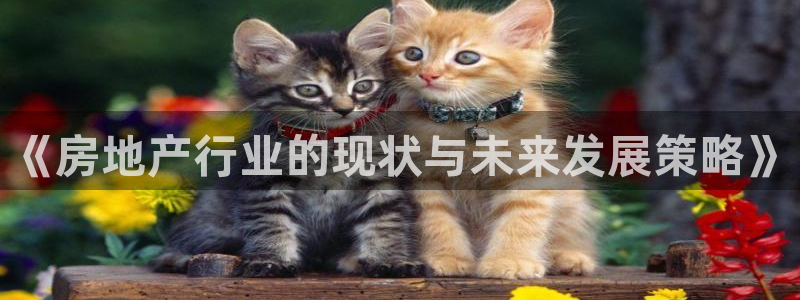 风暴数字娱乐：《房地产行业的现状与未来发展策略》