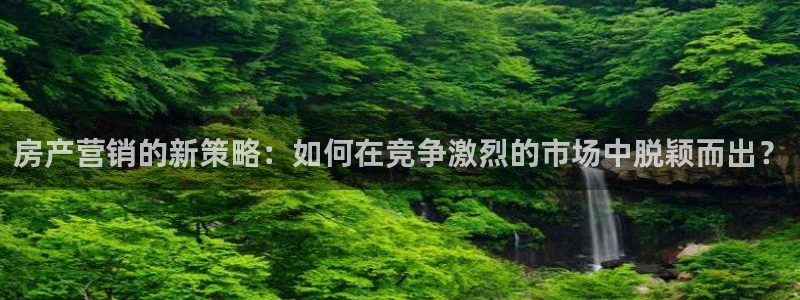 万万娱乐风暴：房产营销的新策略：如何在竞争激烈的市场中脱颖而