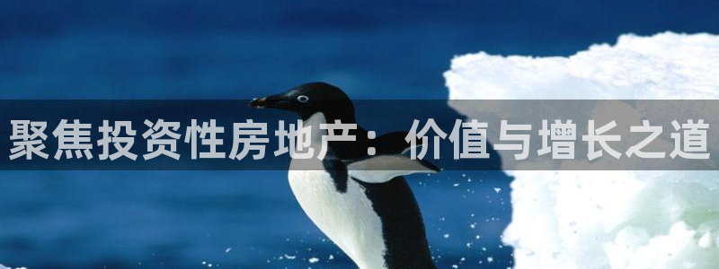 风暴娱乐去人l8888：聚焦投资性房地产：价值与增长之道