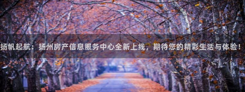 风暴娱乐右5指尖：扬帆起航：扬州房产信息服务中心全新上线，期