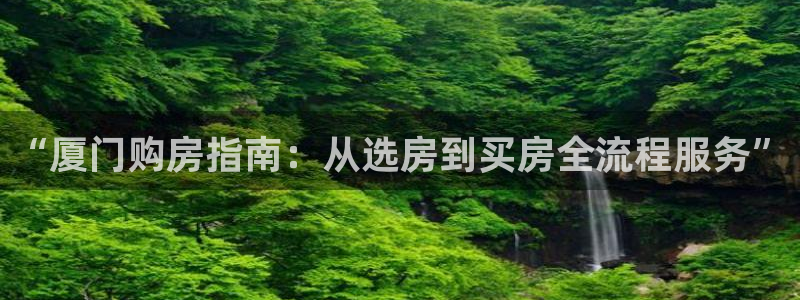 风暴娱乐有5指尖：“厦门购房指南：从选房到买房全流程服务”