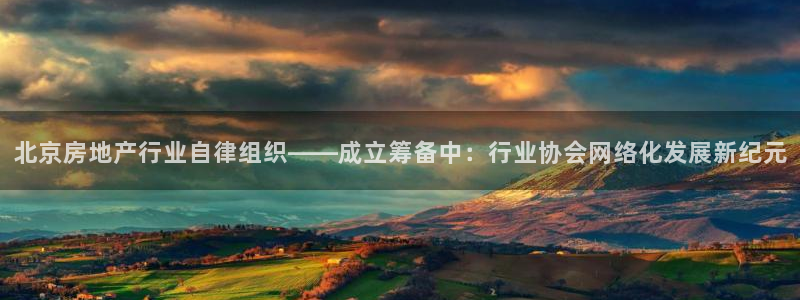 风暴娱乐记：北京房地产行业自律组织——成立筹备中：行业协会网