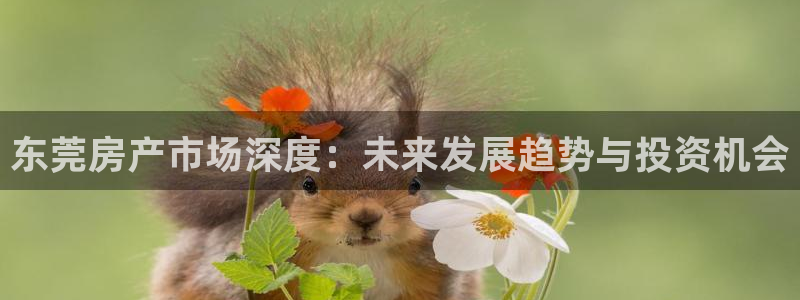娱乐风暴二：东莞房产市场深度：未来发展趋势与投资机会