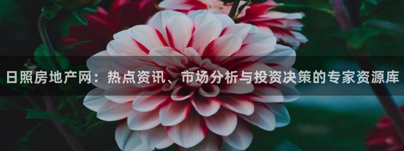 风暴娱乐fb：日照房地产网：热点资讯、市场分析与投资决策的专