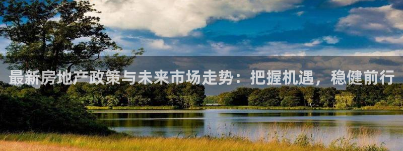 风暴数字娱乐：最新房地产政策与未来市场走势：把握机遇，稳健前