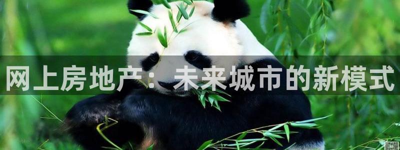 风暴娱乐乃六七五一38