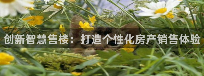 风暴娱乐344272：创新智慧售楼：打造个性化房产销售体验