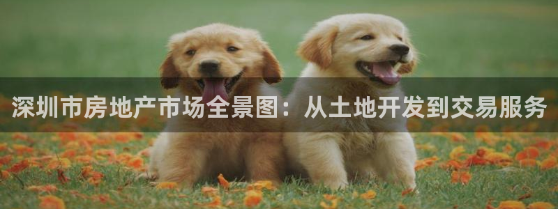 风暴娱乐提现：深圳市房地产市场全景图：从土地开发到交易服务