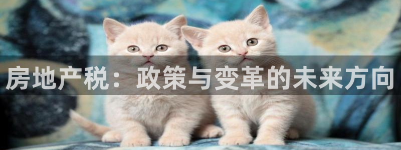 风暴平娱乐：房地产税：政策与变革的未来方向
