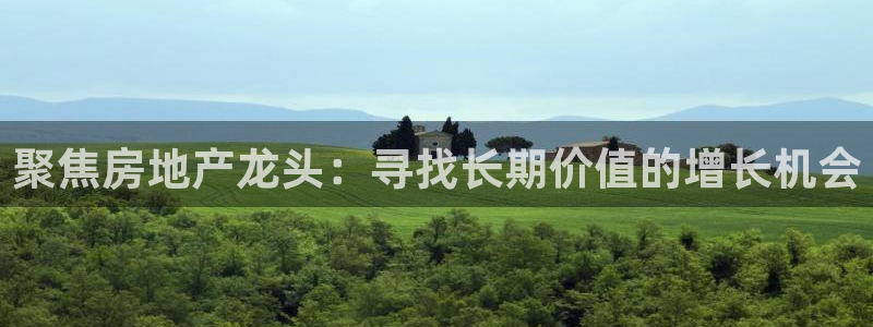 星风暴娱乐：聚焦房地产龙头：寻找长期价值的增长机会