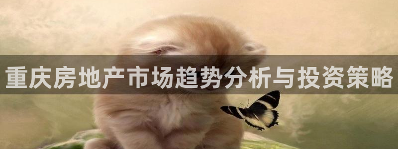 风暴娱乐老板：重庆房地产市场趋势分析与投资策略