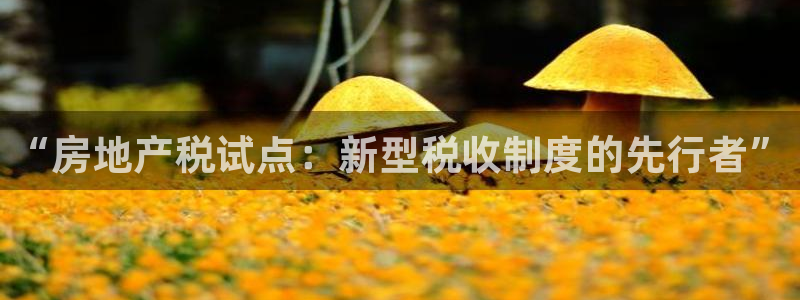 风暴娱乐提现：“房地产税试点：新型税收制度的先行者”