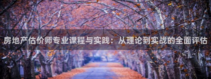 娱乐风暴App：房地产估价师专业课程与实践：从理论到实战的全