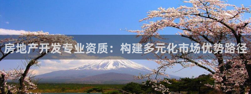注册风暴娱乐：房地产开发专业资质：构建多元化市场优势路径