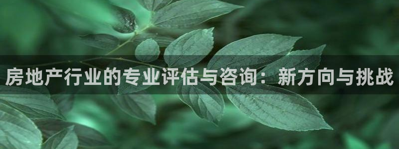 风暴娱乐右5指尖